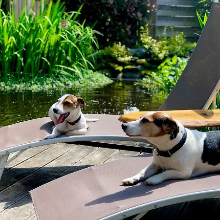 Au D'isa * Havelange