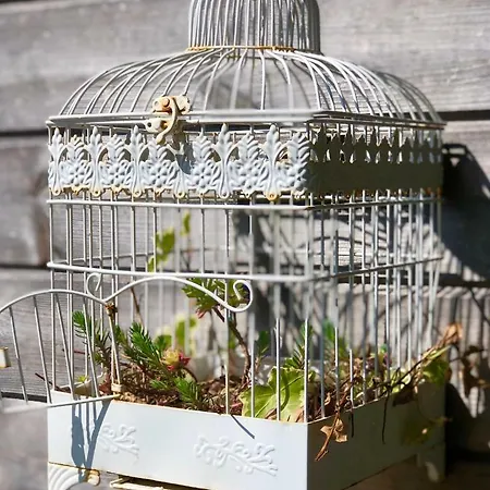 Chalet Au D'isa Havelange